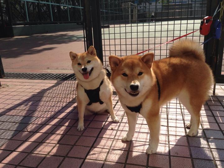 他以神迹之名重塑联盟，凯塞多的武器库里没有可能二字