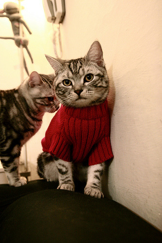 锡安如日凌空,单节统治力焚尽热火反扑焰芒