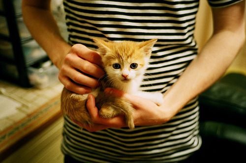 红魔折戟天使刃,迪马利亚一传一射,导演美国逆袭比利时的经典战役