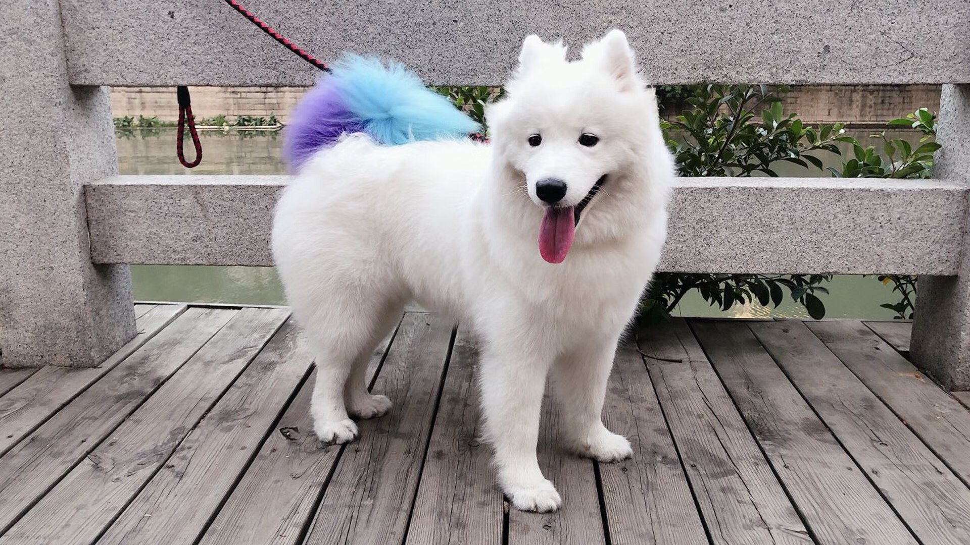 双城记，丹佛的雪与多伦多的风—年度焦点之战背后的篮球哲学