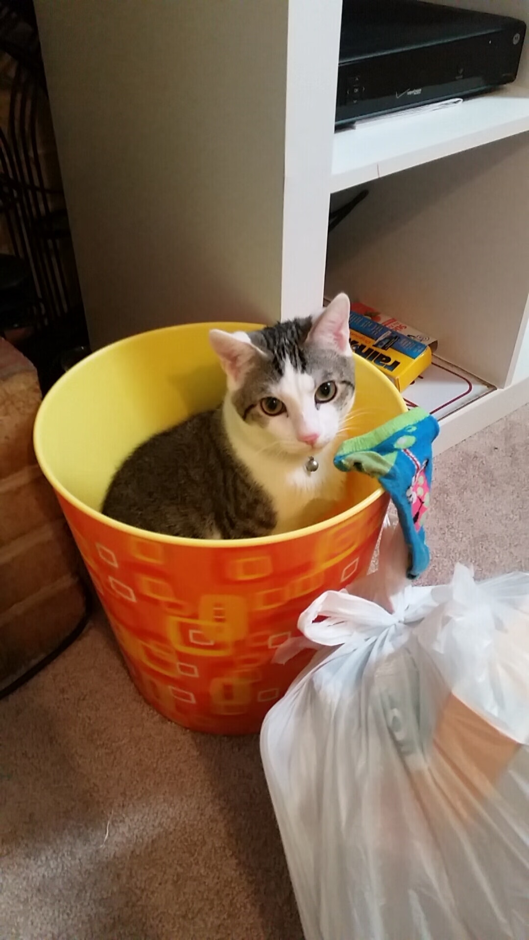 绝境重生，抢七决战末节20分逆转！森林狼史诗一战终结活塞铁血时代