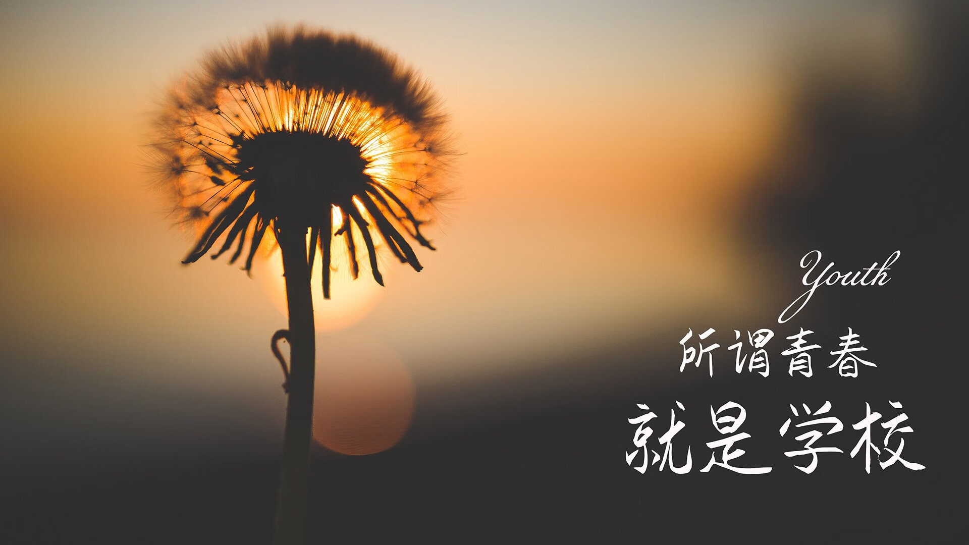 唯一不可复制的C组暗夜,伊朗铁蹄踏碎智利,范戴克封神荷兰,一场宿命与血性的终极交响