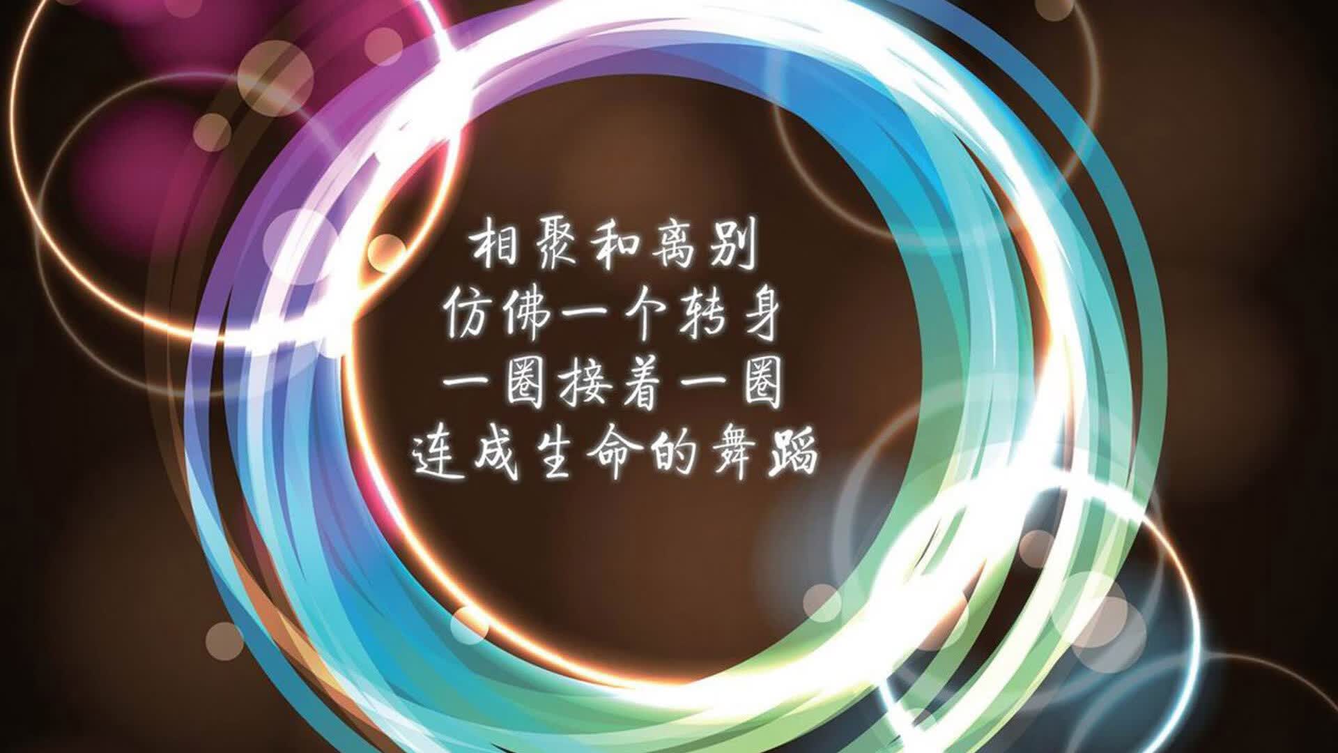 一个人的交响乐，当孙兴慜用太极融化南美之魂，塞尔维亚在A组奏响霸权序曲
