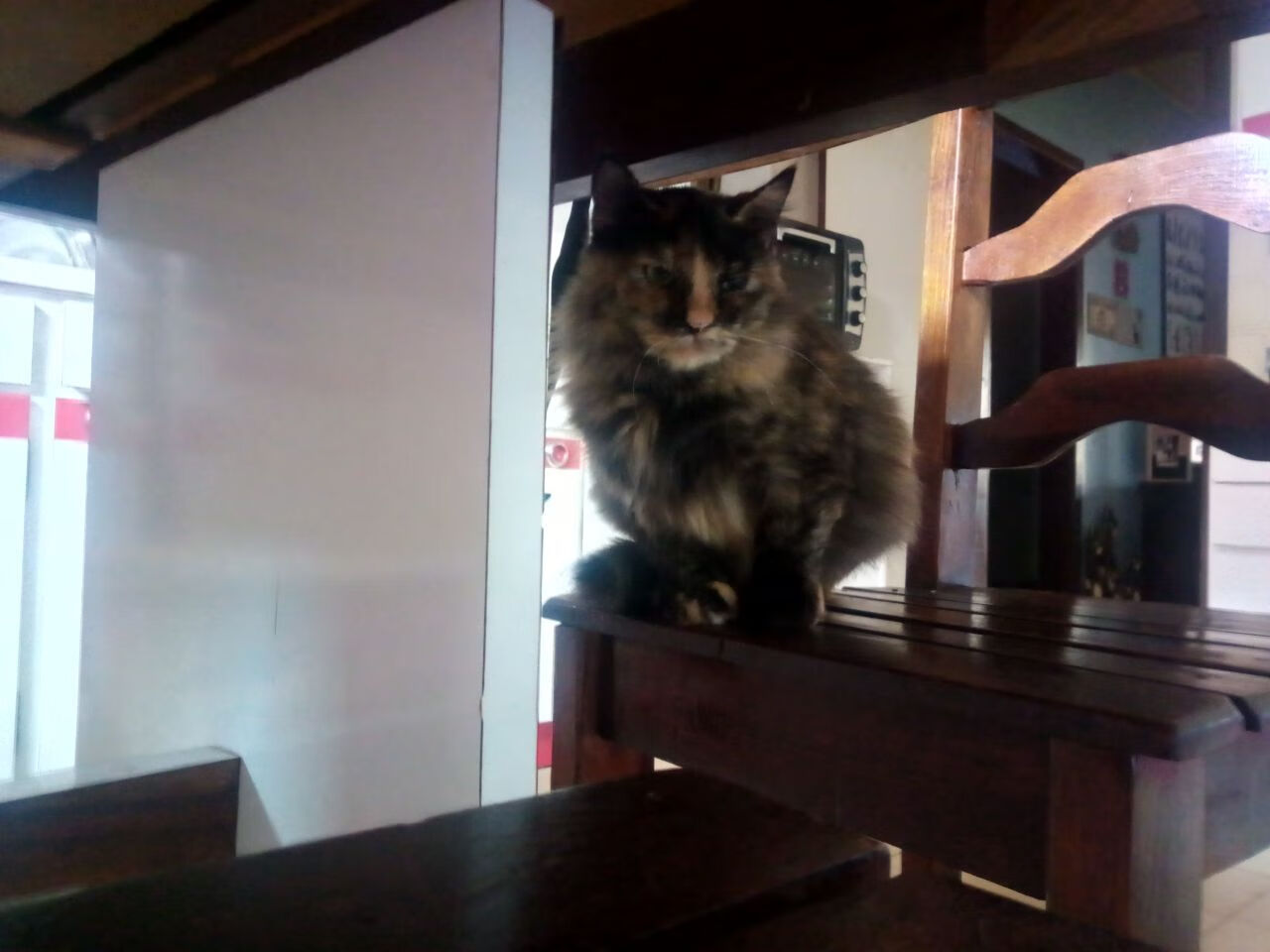 颠覆剧本的孤本,当梅西的探戈在桑巴军团的壁垒上起舞