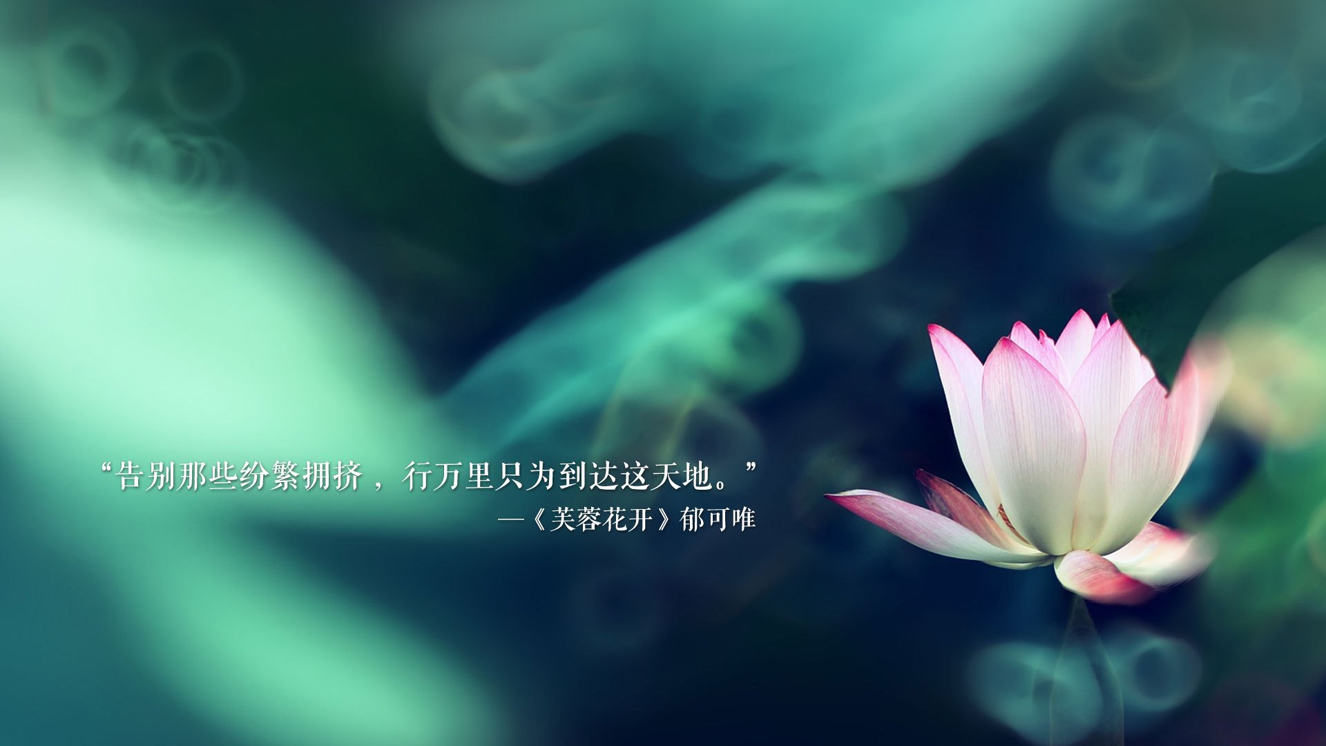 撕裂安第斯山脉的闪电，当加维成为西班牙在D组唯一的光