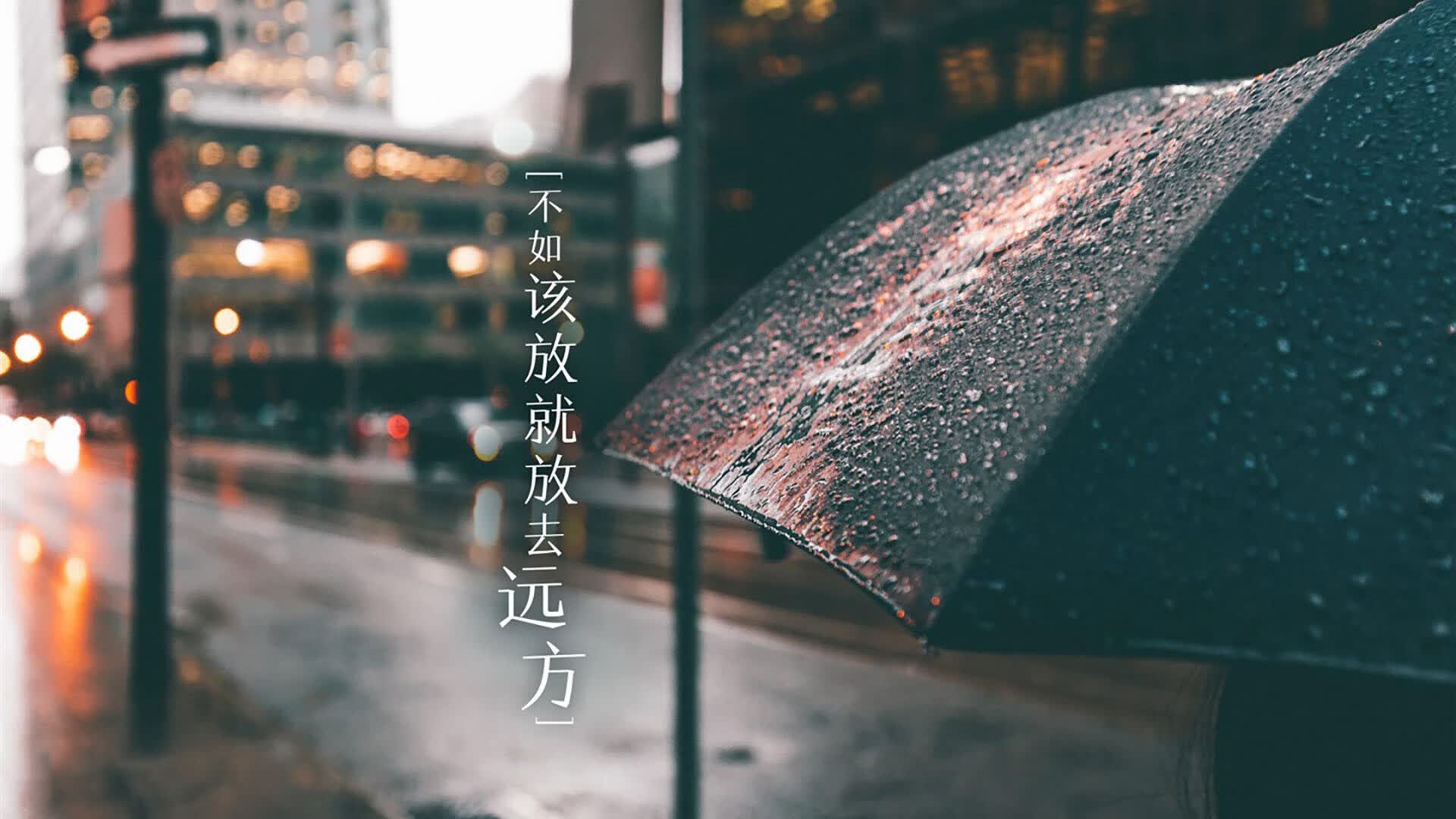 破晓之光，2026世界杯F组，乌兹别克斯坦书写中亚足球新纪元